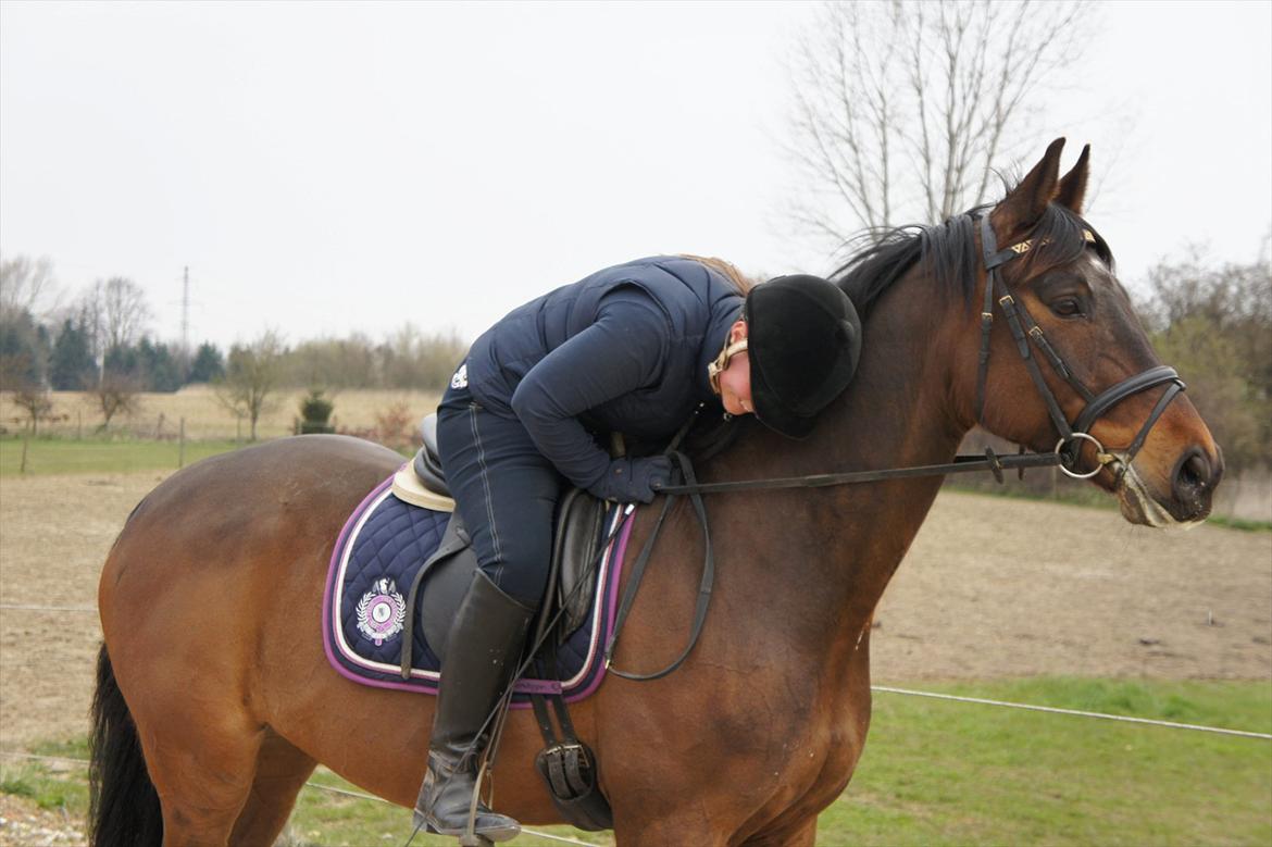 Dansk Varmblod Stald Mejses Cordell - Basse og jeg d. 18.04.2012. Lever du?;-)
Fotograf: Bianca Pedersen billede 3