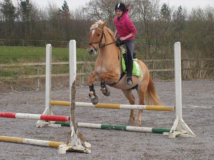 Anden særlig race Valentino <3 *Tino* | My Soulmate|<3 - Han er så super<3 billede 15