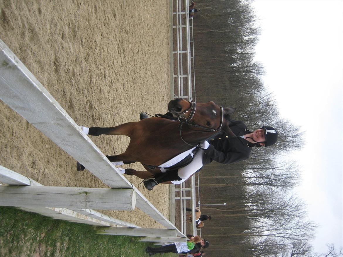 Anden særlig race Pheasant´s Quincy - stævne d. 15.april hun var så sød billede 10