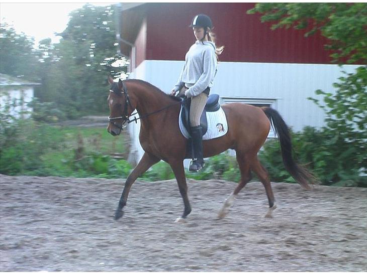 {{currentPhoto.altText}} billede {{currentPhoto.number}}