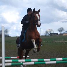 Anden særlig race Diesel R.I.P<3