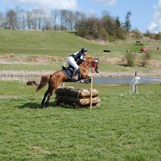 DSP Rawa´s Sinzano  ( TIDL: PONY )