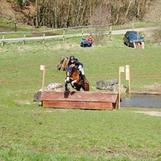 DSP Rawa´s Sinzano  ( TIDL: PONY )