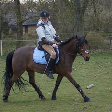 Anden særlig race Stjerne