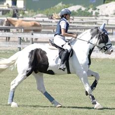Tinker matcho14