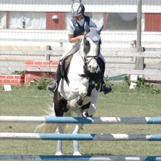 Tinker matcho14
