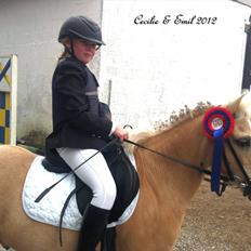 Welsh Mountain (sec A) Emil