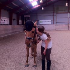 Anden særlig race Lucas <3