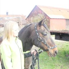 Anden særlig race La Jeanteés Shannon