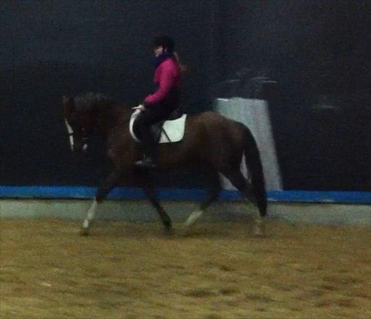 DSP Al Capone DM - min veninde cecilie der rider følle :D 
- trav :D
 billede 14