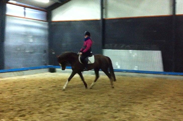 DSP Al Capone DM - min veninde cecilie der rider følle :D billede 15