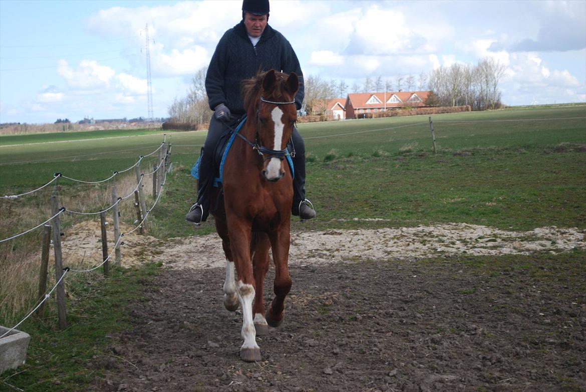 Anden særlig race Diesel R.I.P<3 billede 1