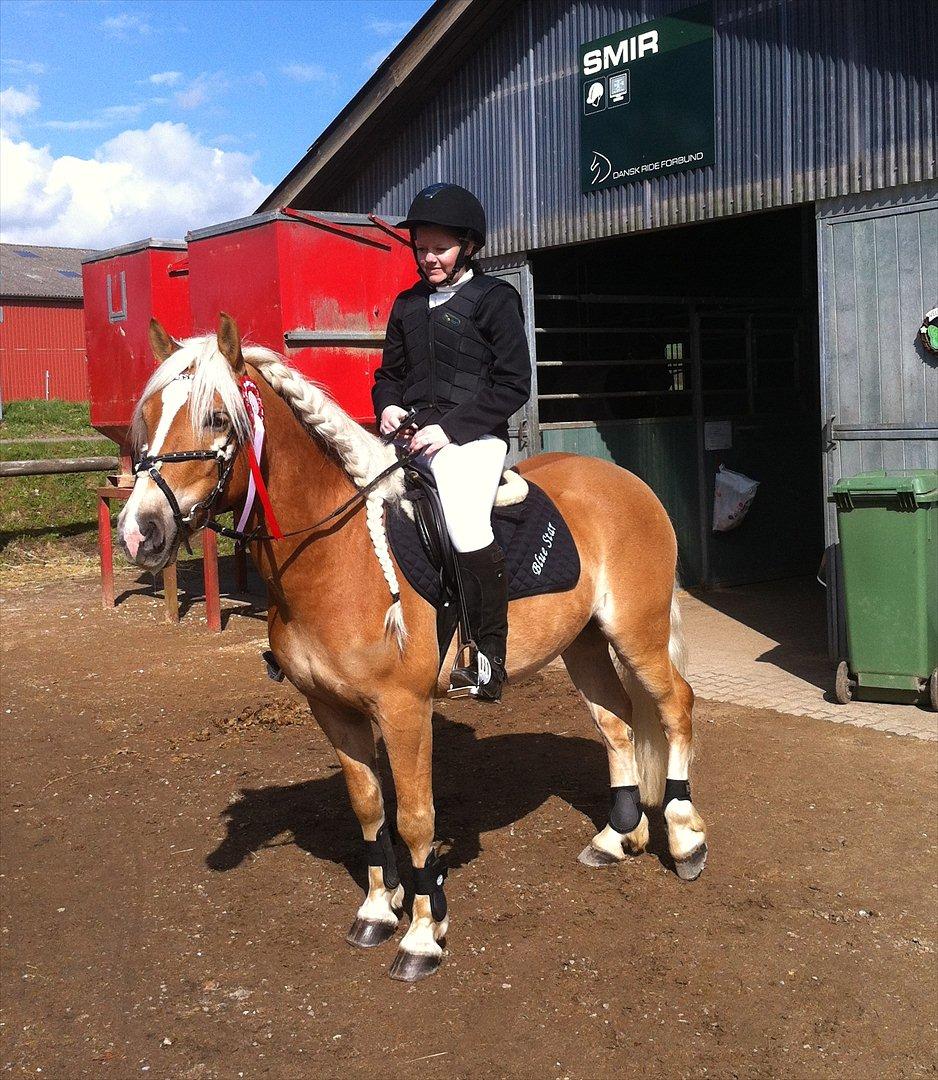 Haflinger Blue Star (BS) - Stævne d. 14/4-12! Første udestævne - så sød <3 billede 20