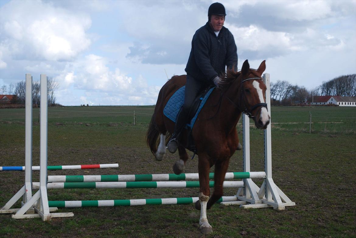 Anden særlig race Diesel R.I.P<3 billede 3