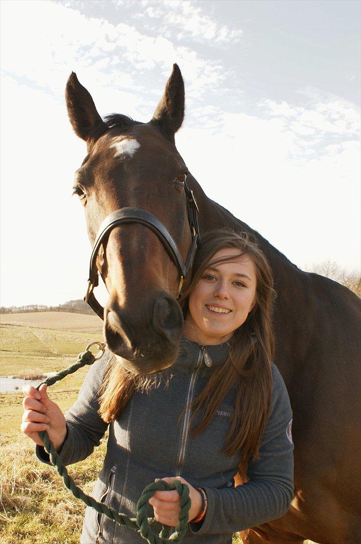 Dansk Varmblod Bjerglunds Sunlight - [d. 3. 3. 2012] Venner! billede 7