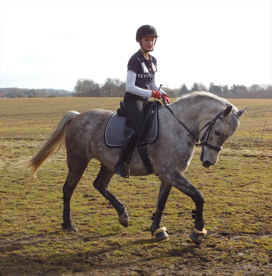 DSP Vasegaards Shanti - 2012. billede 9