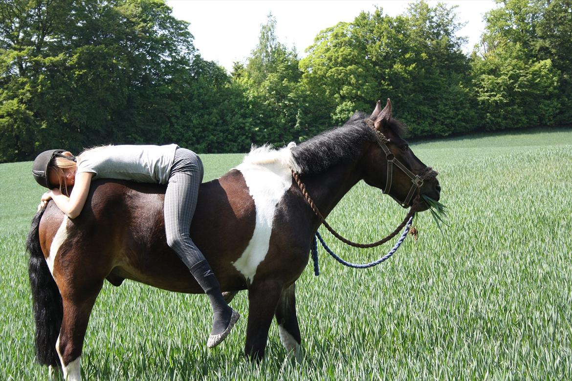 Anden særlig race Django - Du er den helt rigtige for mig ♥ billede 5