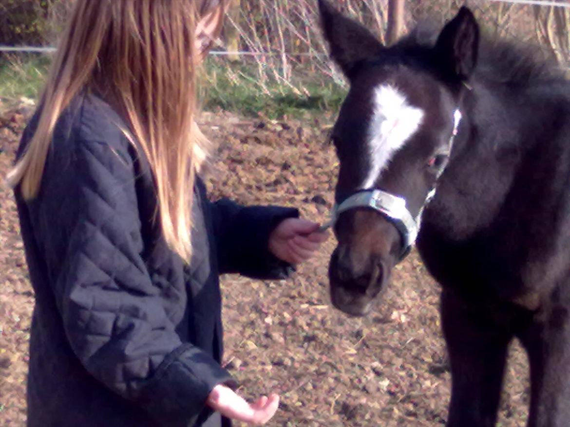 Anden særlig race Bjerregårds Eveline billede 19