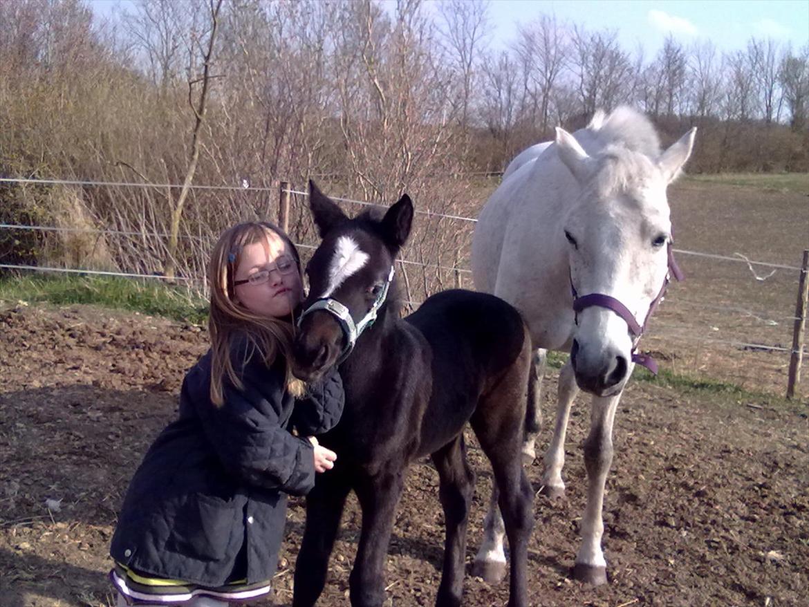 Anden særlig race Bjerregårds Eveline - er allerede meget  børneglad :) De er jo også på højde med hende ;-) billede 14