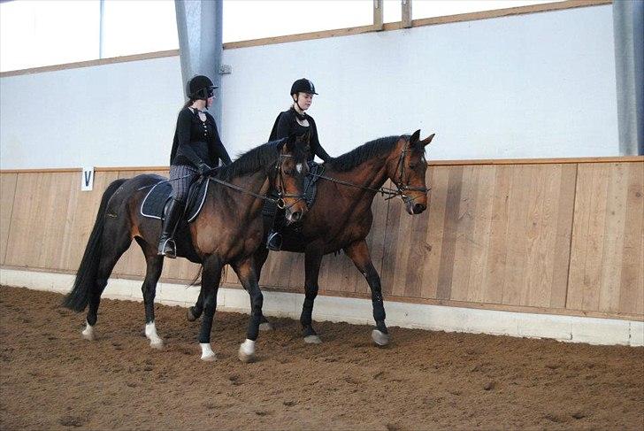 Dansk Varmblod San Luca - Opvarmning til showstævne d. 15/4-12 - Mig på Luca og Sofie på Luigi, klædt ud som Zorro :-) Foto: Cecilie Rømer Hansen billede 12