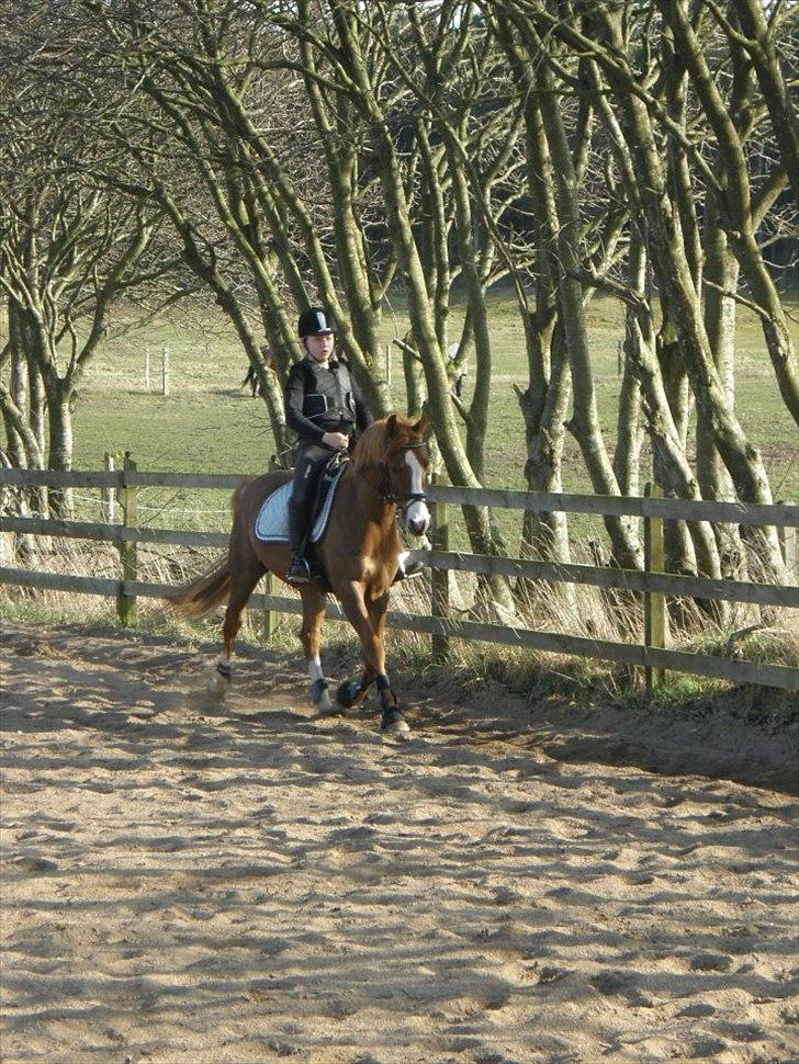 Anden særlig race Mon Cheri<3 - dejlige dig :)!!<3 billede 18