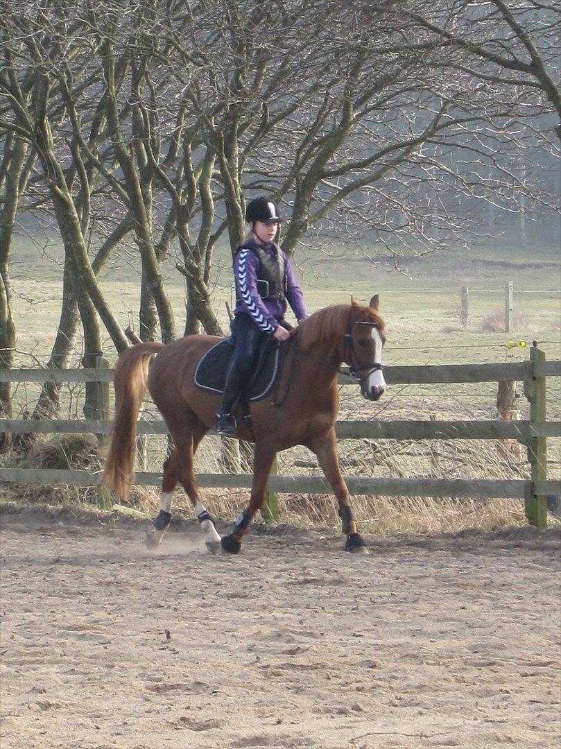 Anden særlig race Mon Cheri<3 - elsker dig!!!<3 billede 17