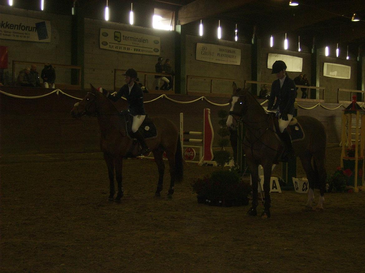 Anden særlig race Aktiv Junior (Lånehest) - I Holte, vi vandt første klasse til vores første B-stævne :) billede 18