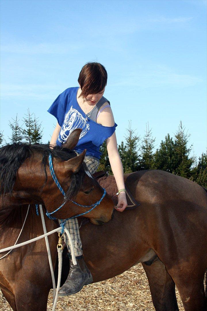 Anden særlig race Ferdinan billede 18