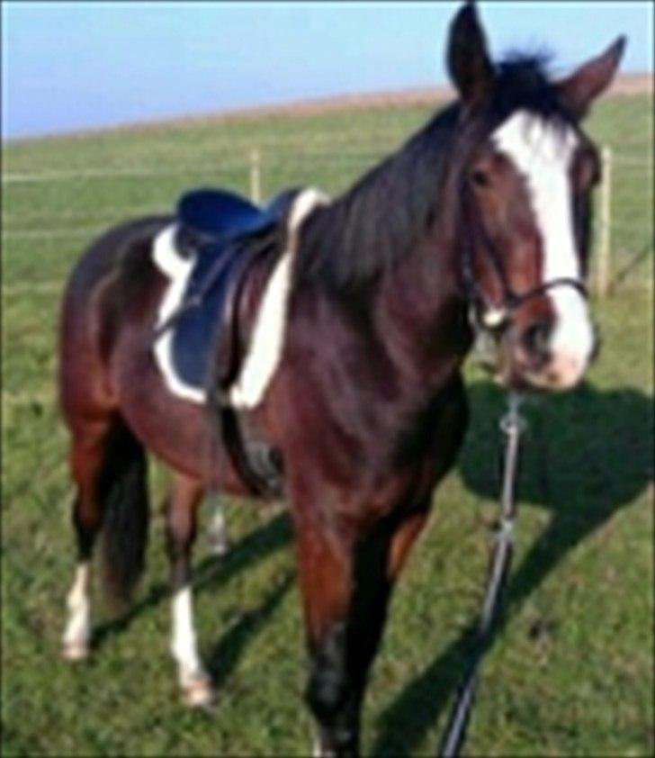 Anden særlig race Cosmo - Marts 2012, lige inden vi skal til og lave lidt billede 4