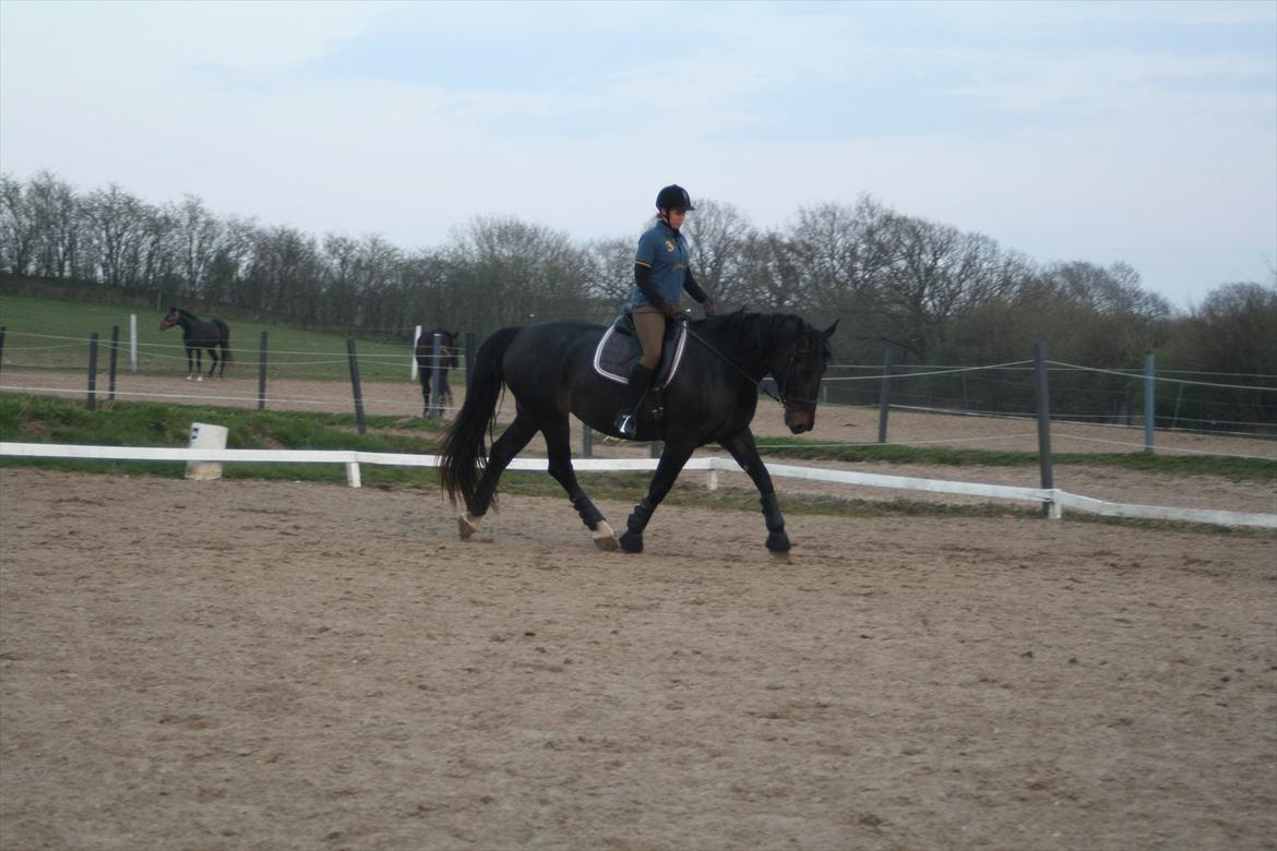 Oldenborg Monique *Gl. Part* billede 2