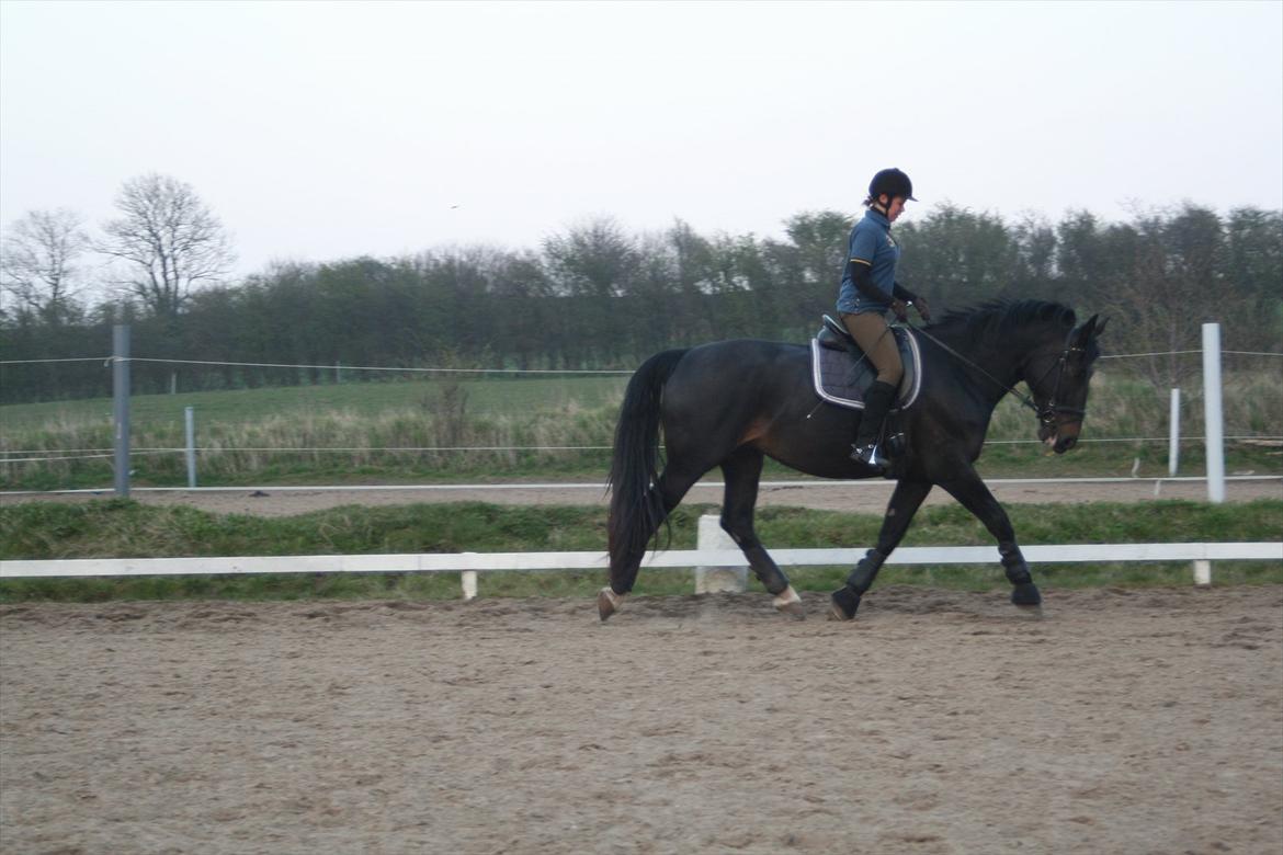 Oldenborg Monique *Gl. Part* billede 3