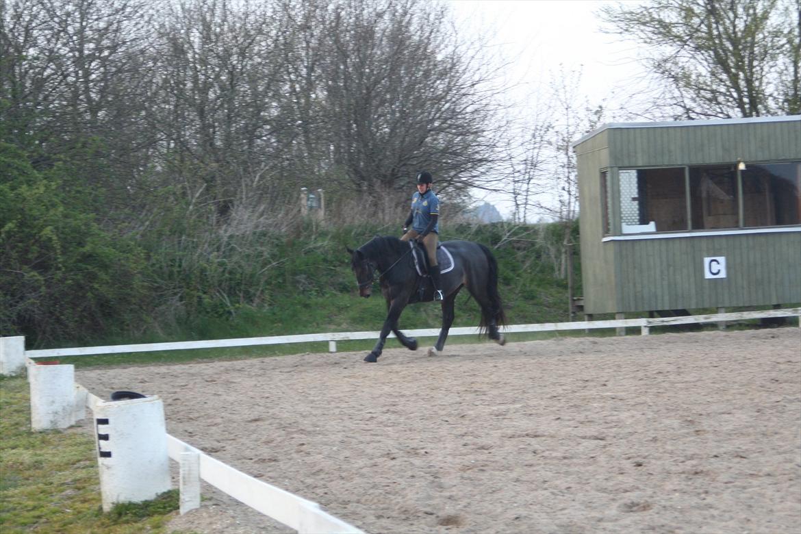 Oldenborg Monique *Gl. Part* billede 4