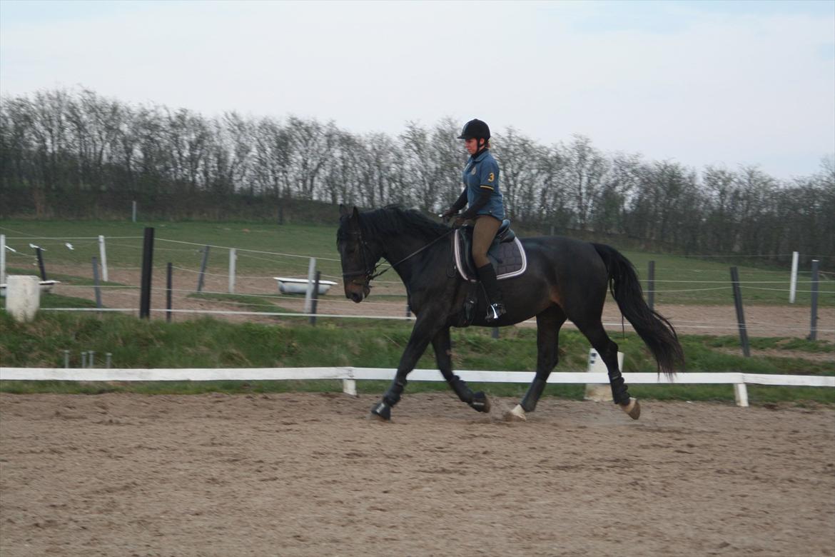 Oldenborg Monique *Gl. Part* billede 5