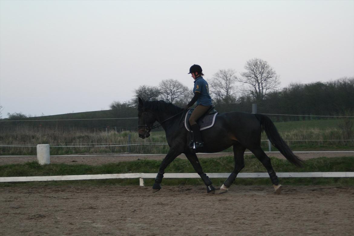 Oldenborg Monique *Gl. Part* billede 6