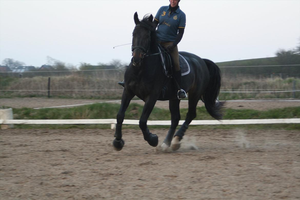 Oldenborg Monique *Gl. Part* billede 7