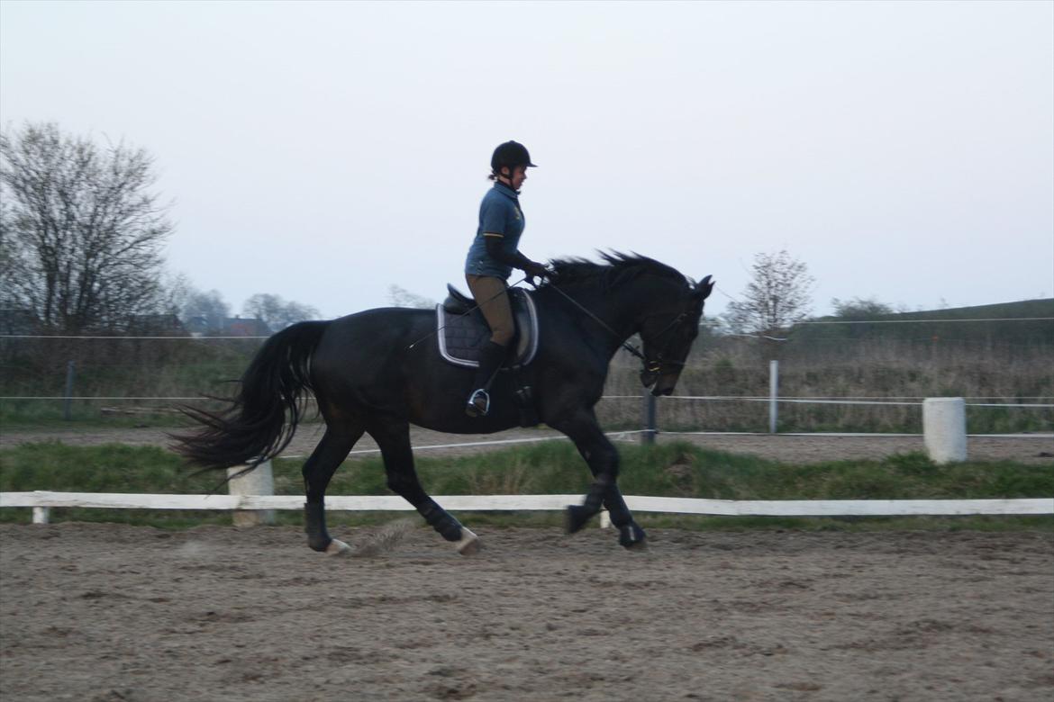 Oldenborg Monique *Gl. Part* billede 8