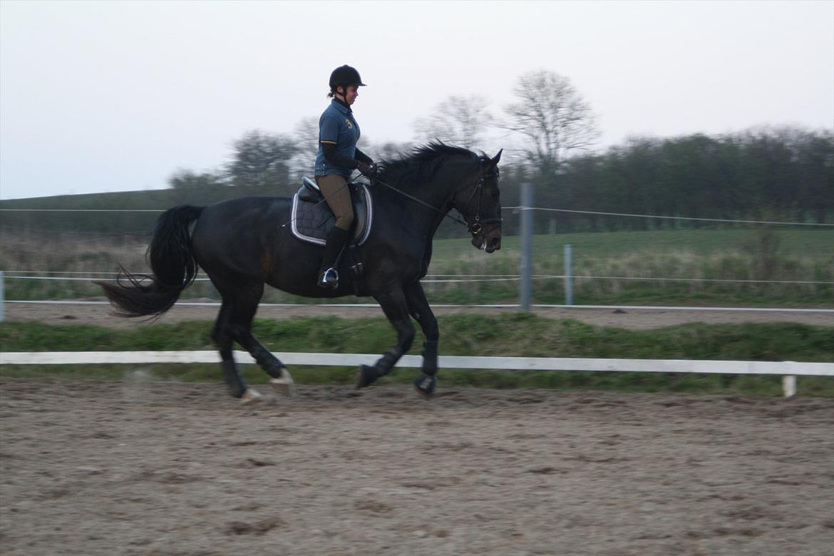 Oldenborg Monique *Gl. Part* billede 9