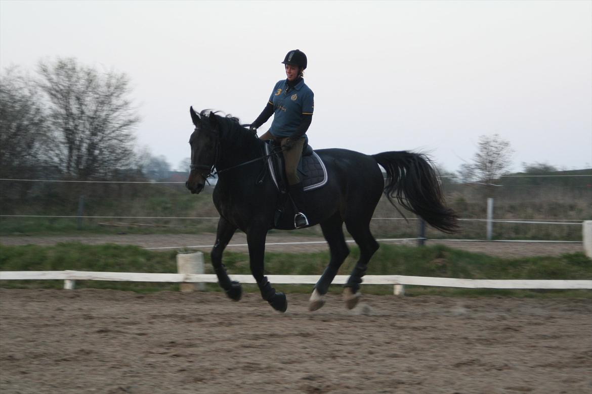 Oldenborg Monique *Gl. Part* billede 10