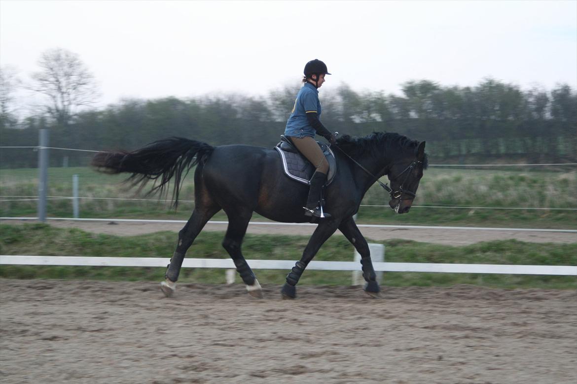 Oldenborg Monique *Gl. Part* billede 11