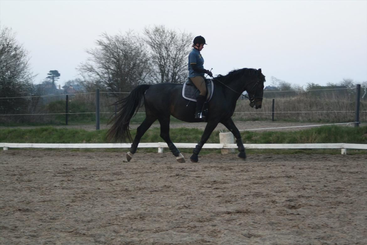 Oldenborg Monique *Gl. Part* billede 12