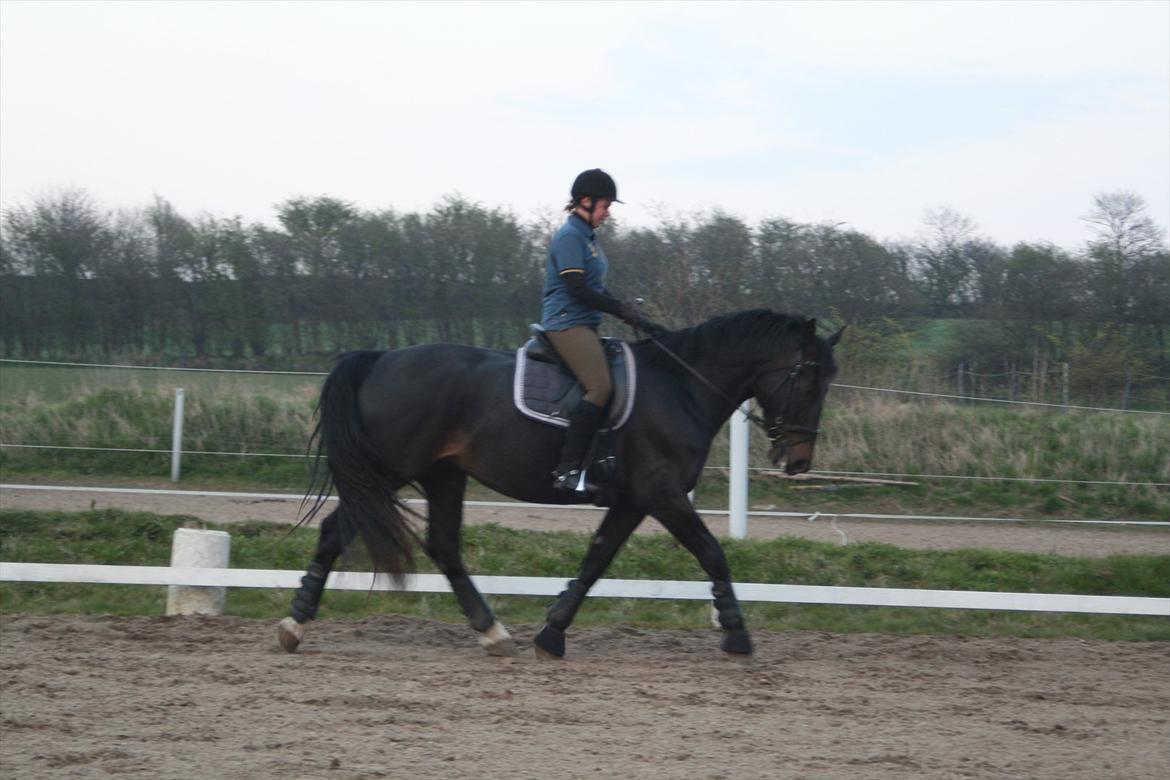 Oldenborg Monique *Gl. Part* billede 13