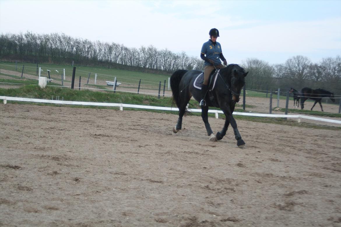 Oldenborg Monique *Gl. Part* billede 14