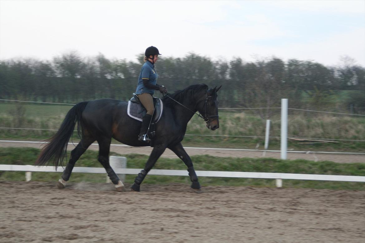 Oldenborg Monique *Gl. Part* billede 15