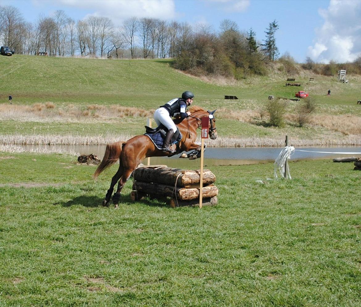 DSP Rawa´s Sinzano  ( TIDL: PONY ) - CNC90 terræn stævne  billede 2