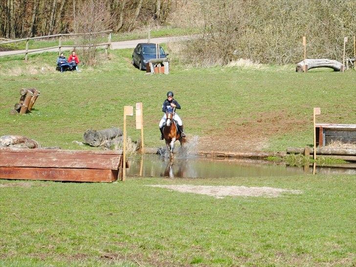 DSP Rawa´s Sinzano  ( TIDL: PONY ) - Dygtiiiiigg ! billede 4