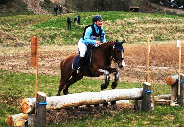 DSP Rawa´s Sinzano  ( TIDL: PONY ) - Første stævne i Tjele ....
 billede 5