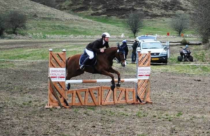 DSP Rawa´s Sinzano  ( TIDL: PONY ) - o fejl på springbanen . billede 7