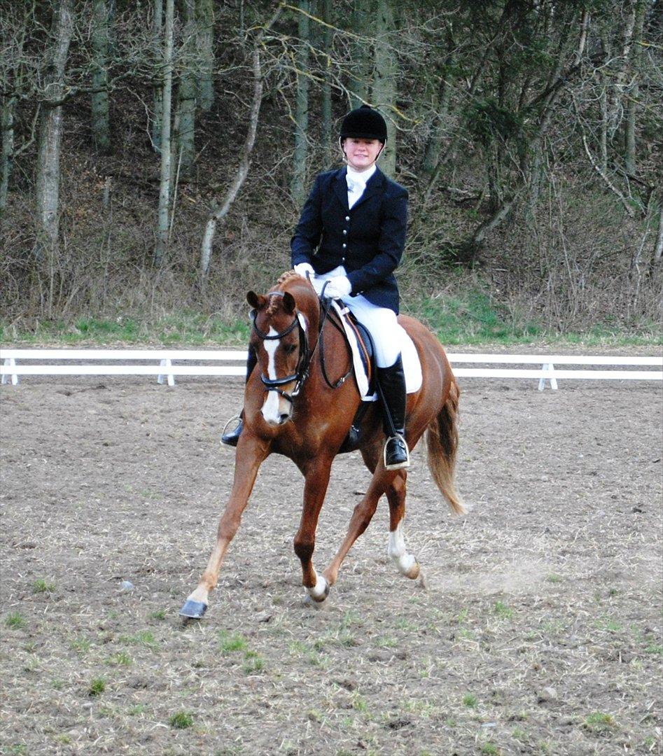 DSP Rawa´s Sinzano  ( TIDL: PONY ) - Dressur 72 % i CNC80. billede 8