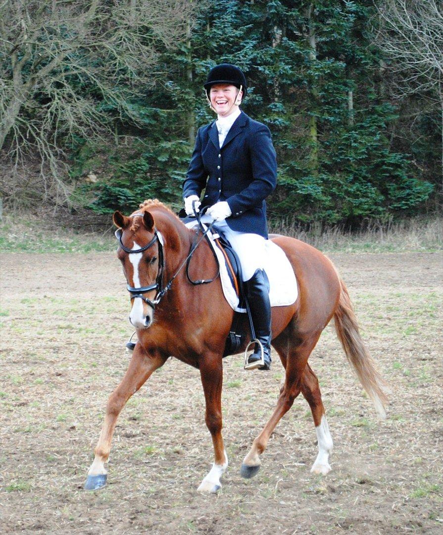 DSP Rawa´s Sinzano  ( TIDL: PONY ) - Hanne rider Sinzano til stævner og til dagligt . billede 9