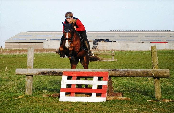 DSP Rawa´s Sinzano  ( TIDL: PONY ) - Terræntræning billede 11